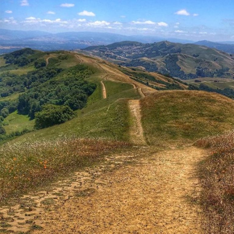 Trails